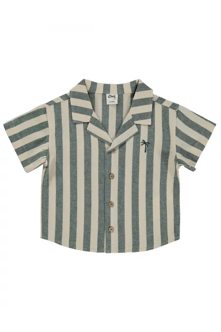 Baby Shirt 0-24 Months Pine Green - Pack