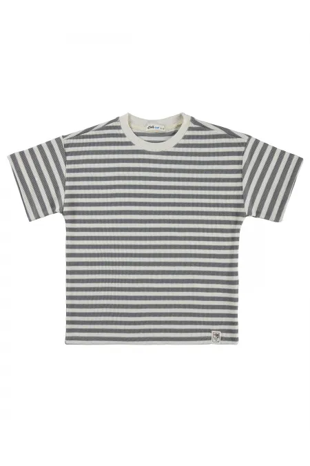 Erkek Çocuk Tişört 6-9 Yaş Gri - Paket