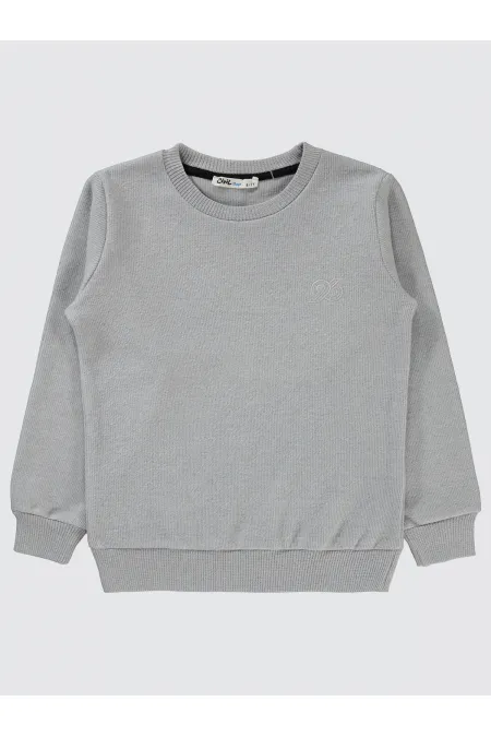 Boy Sweatshirt 6-9 Years Gray - Pack
