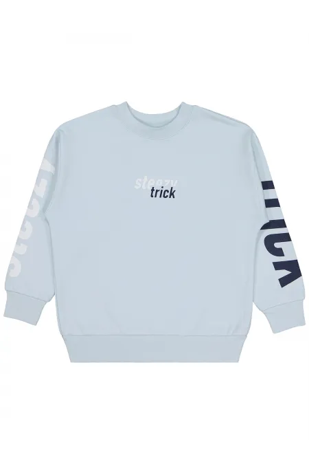 Erkek Çocuk Sweatshirt 6-9 Yaş Açık Mavi - Paket