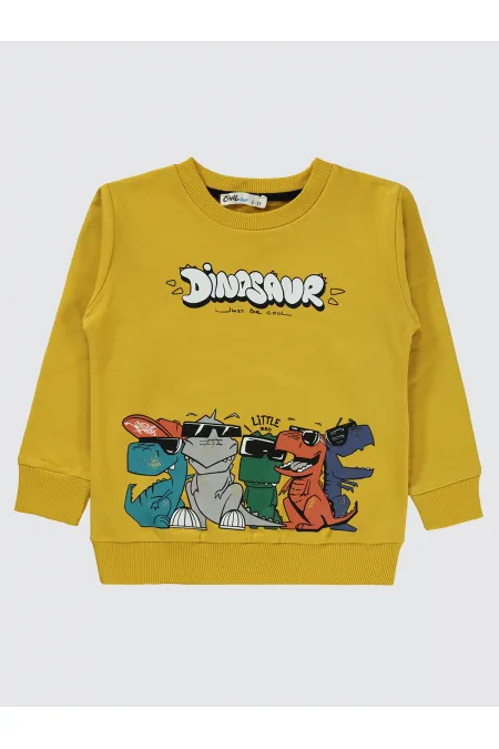 Boy Sweatshirt 2-5 Years Mustard - Pack
