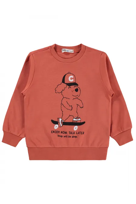 Erkek Çocuk Sweatshirt Km 2-5 Yaş Koyu Turuncu - Paket