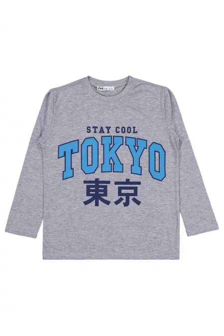 Erkek Çocuk Sweatshirt Km 6-9 Yaş Grimelanj - Paket