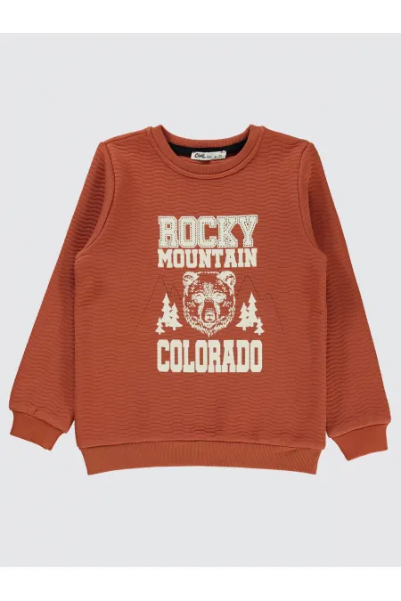 Erkek Çocuk Sweatshirt 6-9 Yaş Bakır - Paket