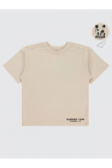 Boys T-Shirt 6-9 Years Old Stone Color - Pack