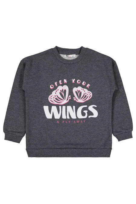 Kız Çocuk Sweatshirt 6-9 Yaş Antrasit - Paket