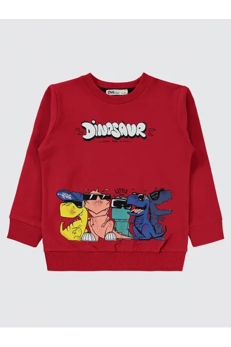 Erkek Çocuk Sweatshirt 2-5 Yaş Kırmızı - Paket