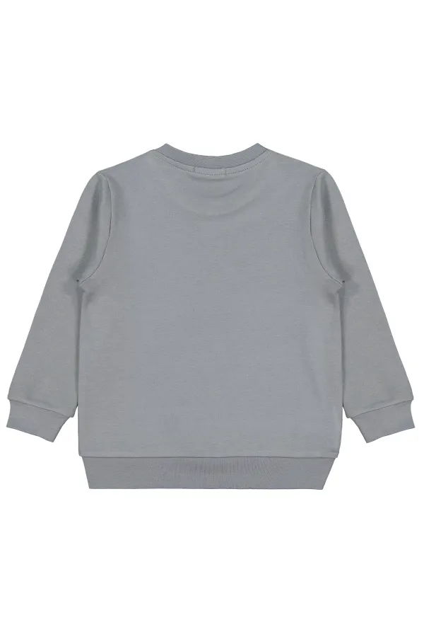 Boys Sweatshirt Km 2-5 Years Gray - Package