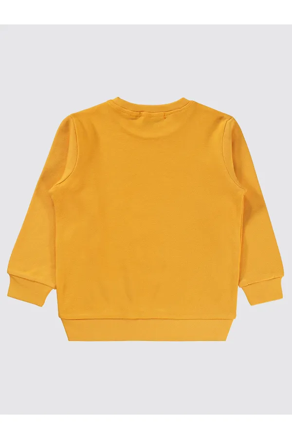 Boys Sweatshirt 2-5 Years Mustard - Civil Package