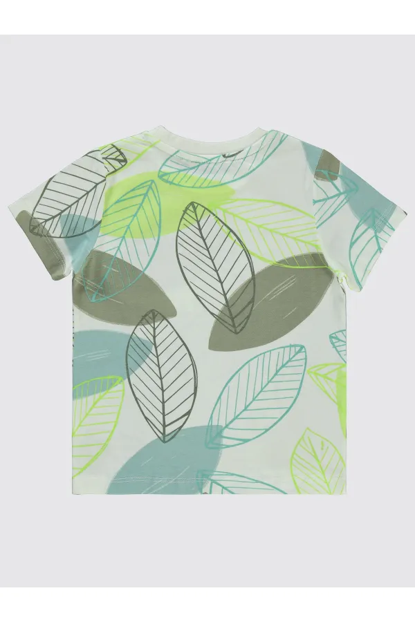 Boys T-Shirt 2-5 Years Old Light Almond Green - Package Boys T-Shirt 2-5 Years Old Light Almond Green - Package