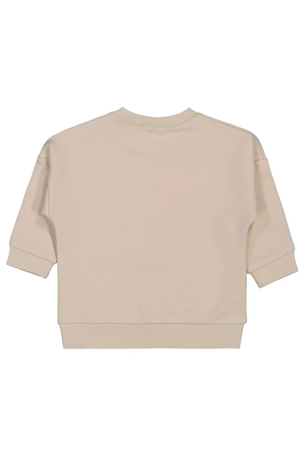 Baby Sweatshirt 0-24 Months Stone Color - Pack
