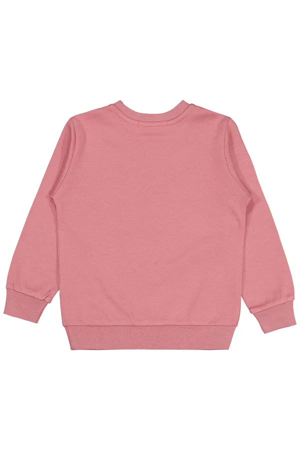 Kız Çocuk Sweatshirt 2-5 Yaş Gül Kurusu - Paket