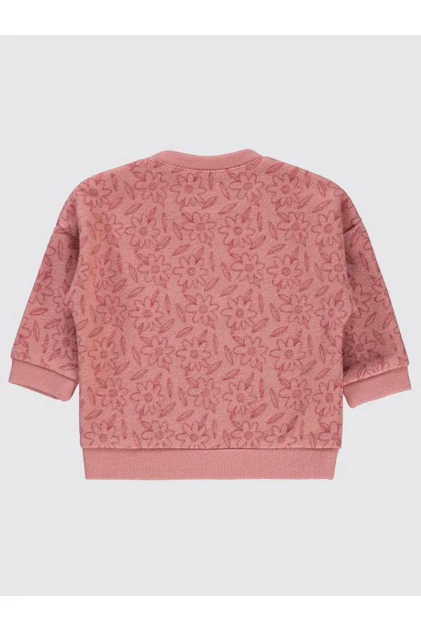Bebek Sweatshirt 0-24 Ay Pudra - Paket