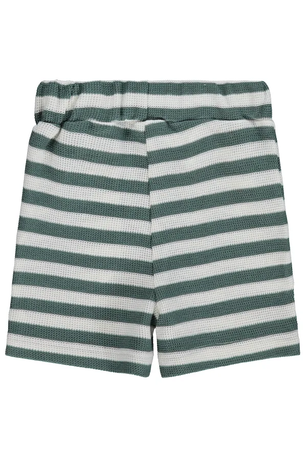 Short bébé 0-24 mois vert pin - Lot