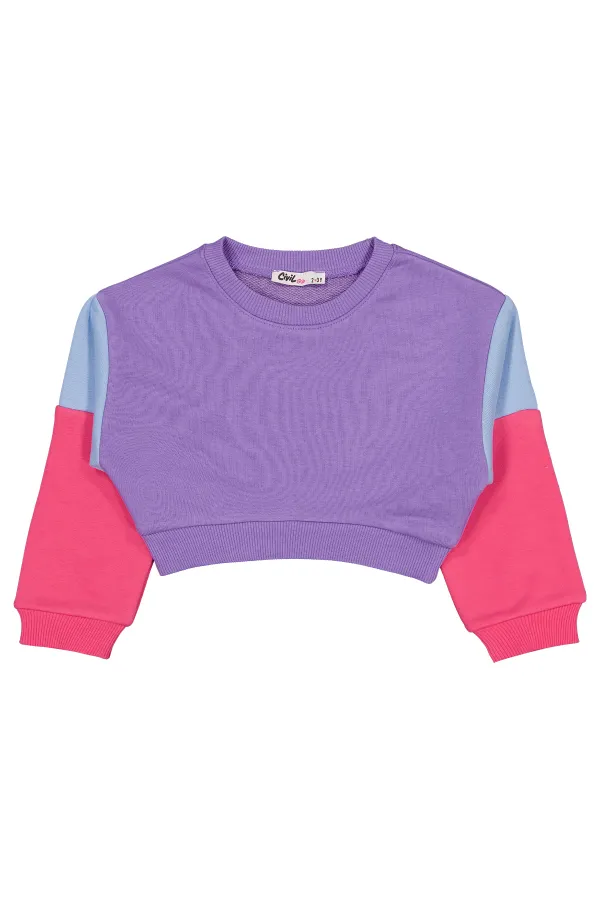 Kız Çocuk Sweatshirt 2-5 Yaş Mor - Paket