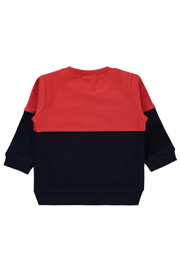 Sweat-shirt bébé 0-24 mois bleu marine - Lot