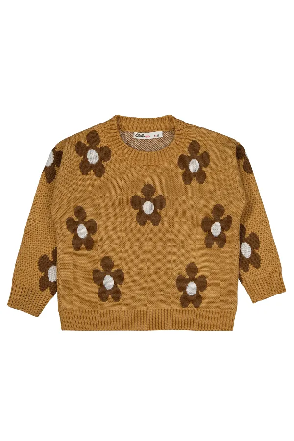 Girl Sweater 2-5 Years Old Biscuit - Package