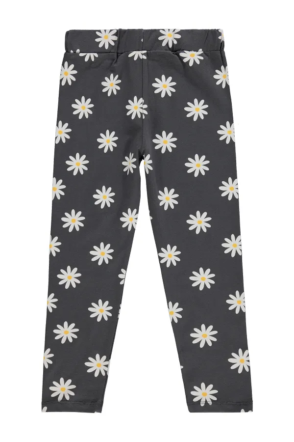 Leggings pour filles, 6-9 ans, anthracite - Lot Leggings pour filles, 6-9 ans, anthracite - Lot