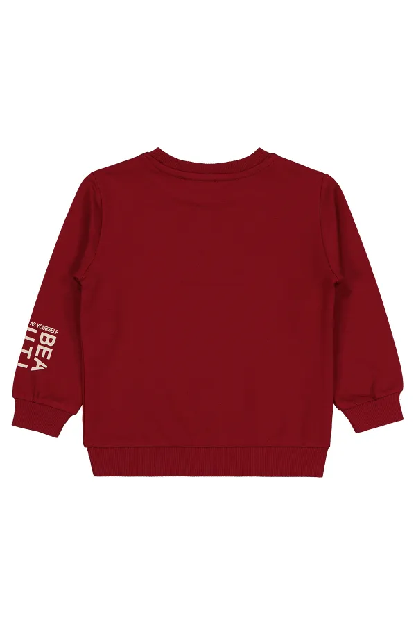 Girl Sweatshirt 2-5 Years Old Dark Burgundy - Package