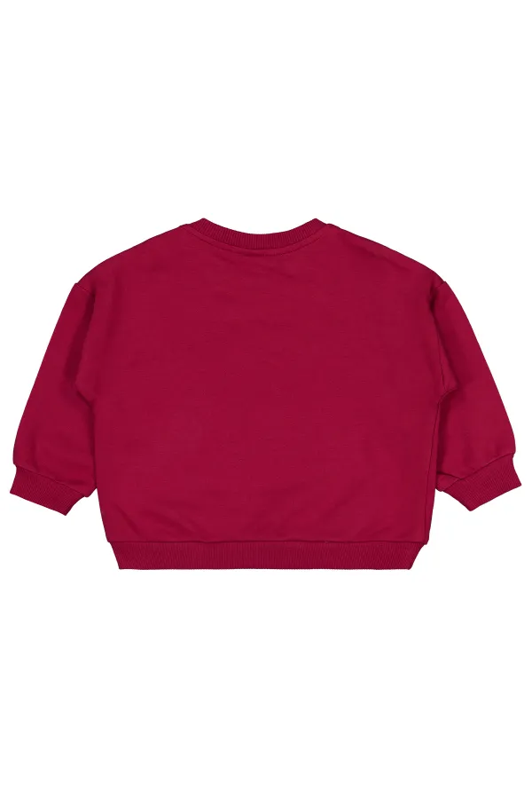 Bebek Sweatshirt 0-24 Ay Bordo - Paket