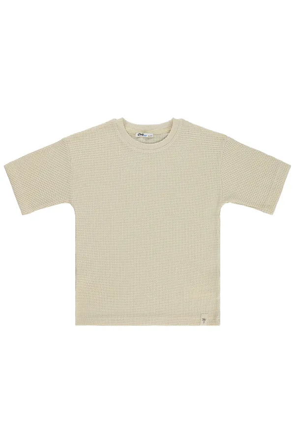 T-shirt garçon, 10-13 ans, couleur latte - Lot