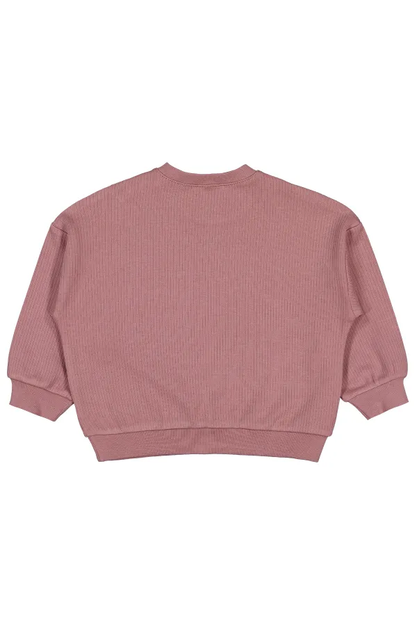 Sweat-shirt bébé 0-24 mois marron - Lot