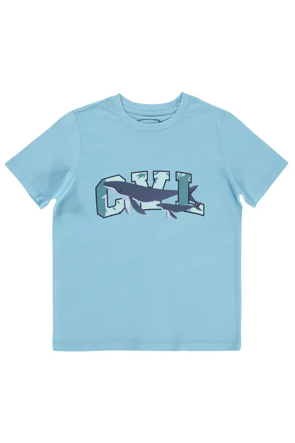 T-shirt garçon bleu 10-13 ans - Emballage
