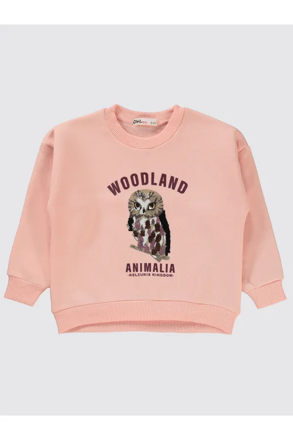 Kız Çocuk Sweatshirt 2-5 Yaş Pudra - Paket