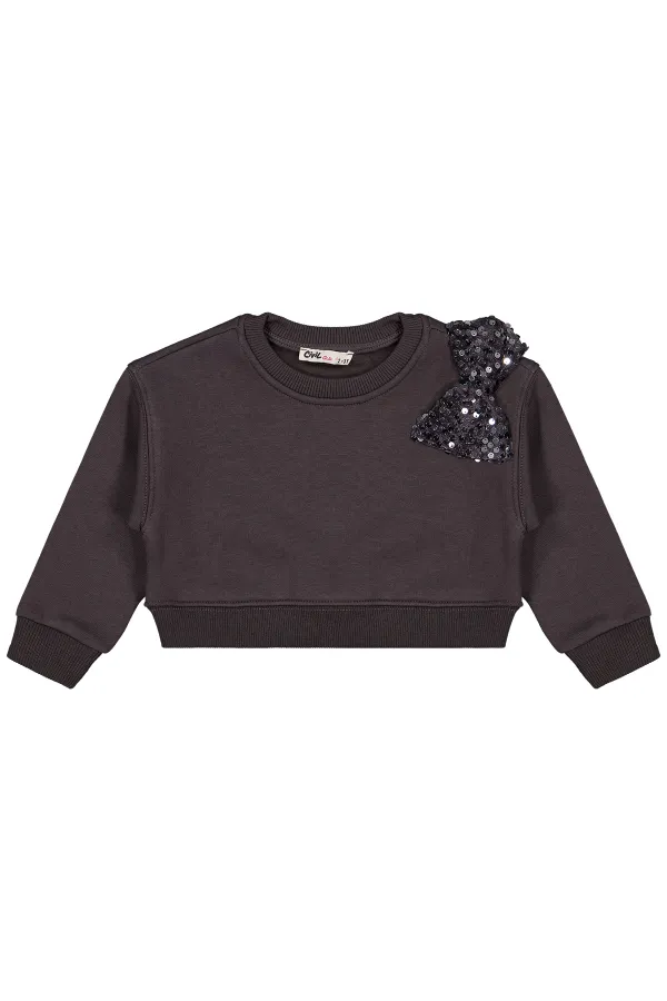 Kız Çocuk Sweatshirt 2-5 Yaş Antrasit - Paket