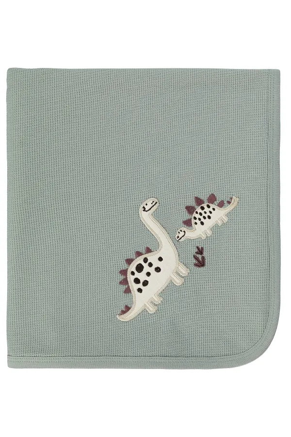 Bebek Battaniye ve Kundak 0-24 Ay Çağla Yeşili - Paket