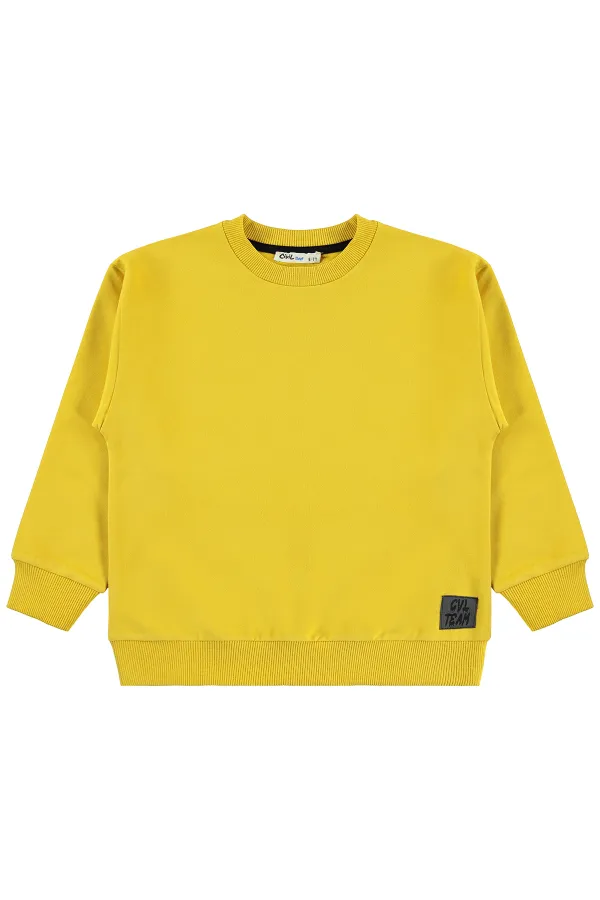Boys' Sweatshirt, Ages 6-9, Mustard - Pack