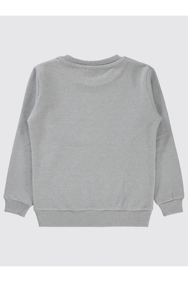 Boy Sweatshirt 6-9 Years Gray - Pack
