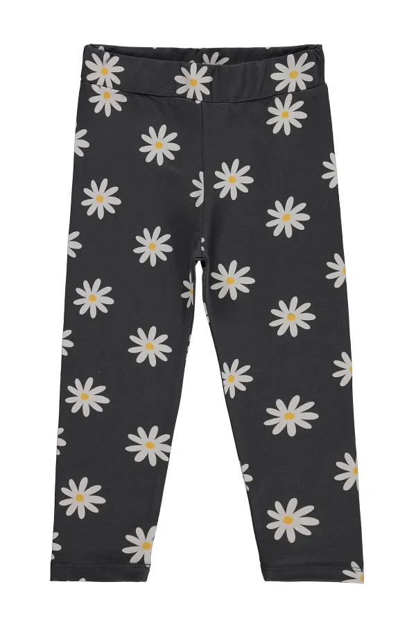 Kız Çocuk Tayt 2-5 Yaş Antrasit - Paket Kız Çocuk Tayt 2-5 Yaş Antrasit - Paket