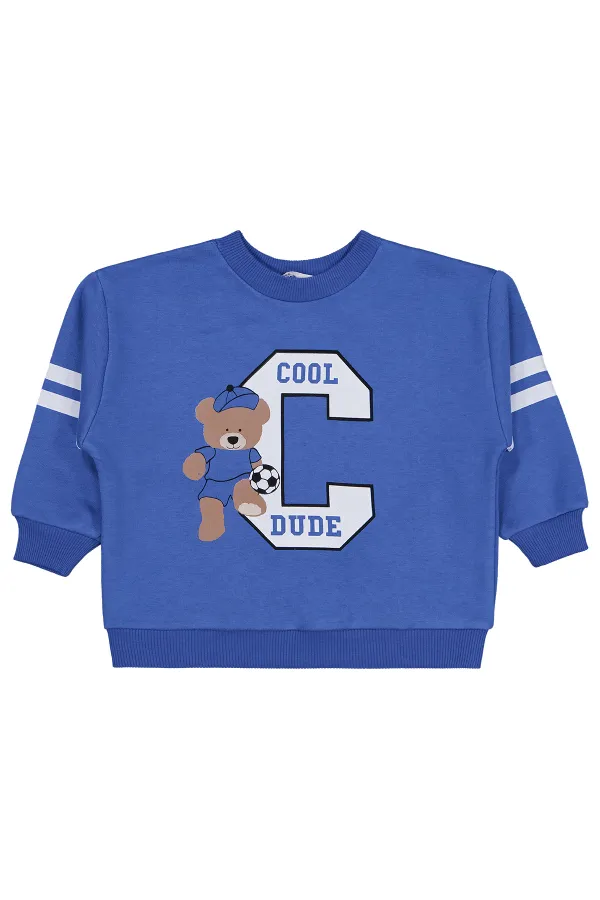 Erkek Çocuk Sweatshirt 2-5 Yaş Saks - Paket