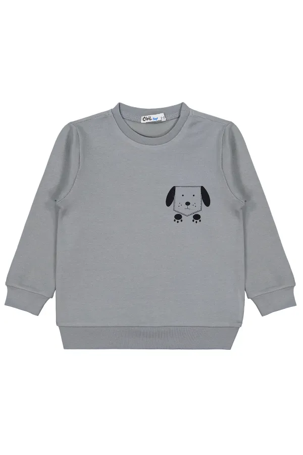 Boys Sweatshirt Km 2-5 Years Gray - Package