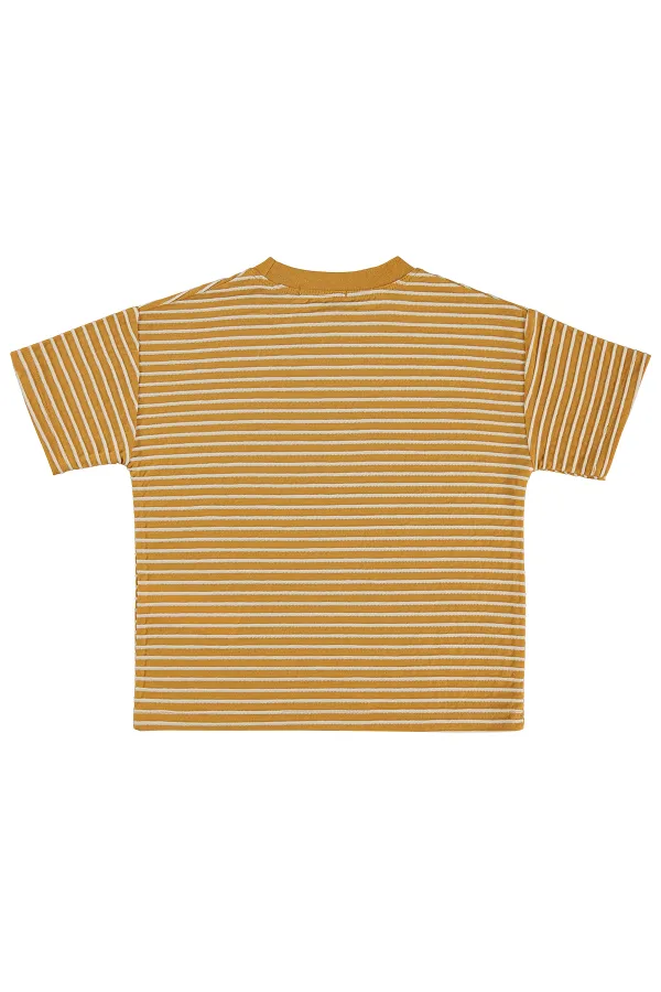 Boys' T-Shirt, Ages 2-5, Mustard - Pack