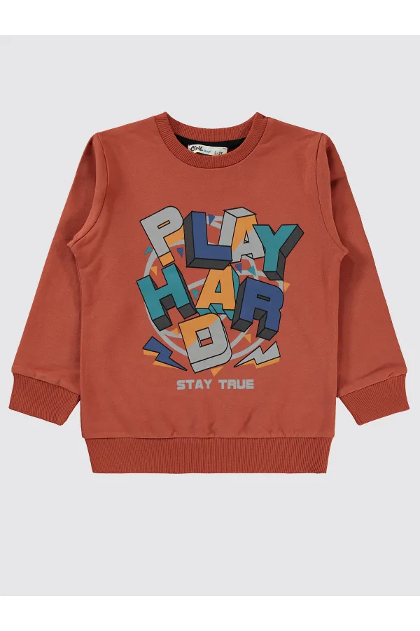 Sweat-shirt garçon 2-5 ans, couleur cuivre foncé - Lot