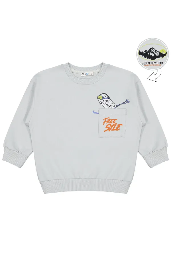 Erkek Çocuk Sweatshirt 2-5 Yaş Açık Gri - Paket