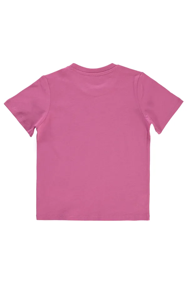 Erkek Çocuk Tişört 2-5 Yaş Gül Kurusu - Paket