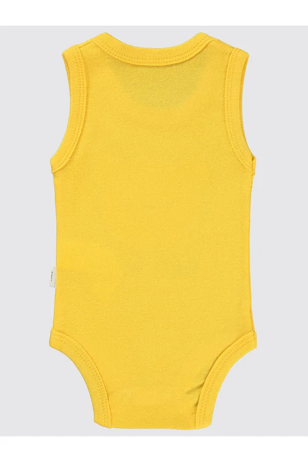 Bebek Çıtçıtlı Badi 0-24 Ay Hardal - Paket