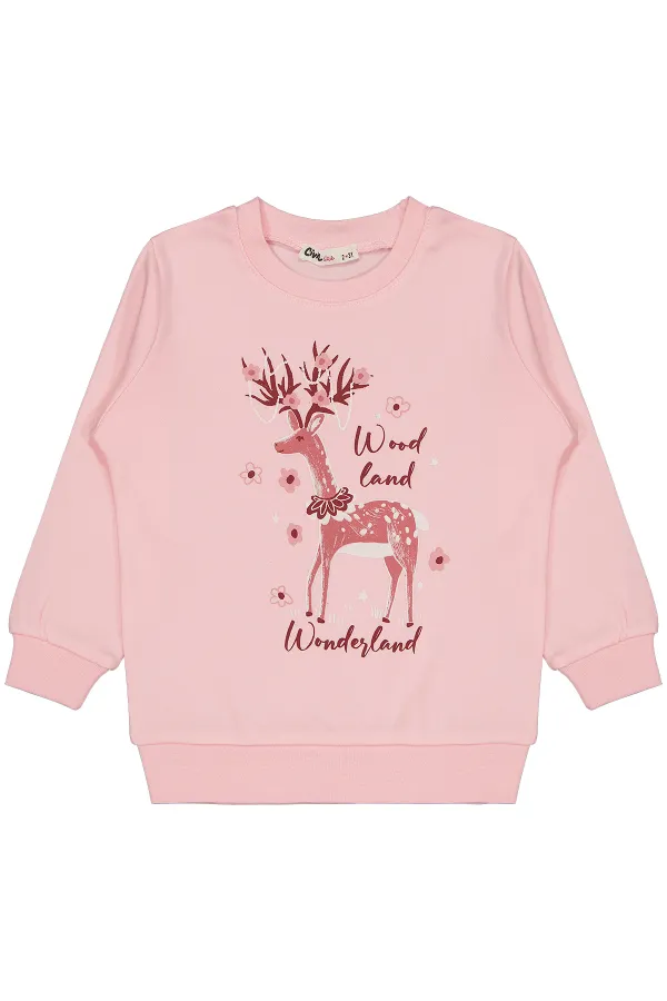 Kız Çocuk Sweatshirt 2-5 Yaş Pembe - Paket