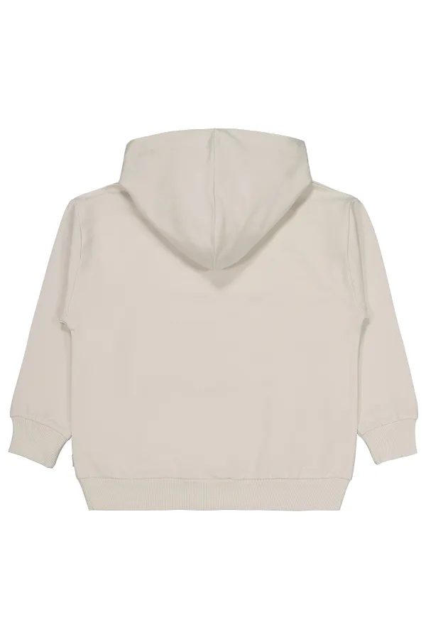 Sweat-shirt garçon 10-13 ans Gris clair - Emballage