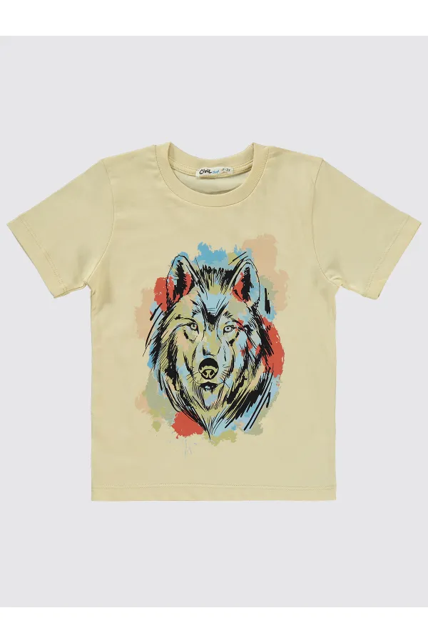 Boys' Set 2-5 Years Old Stone Color - Package