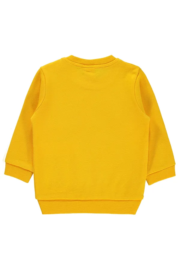 Bebek Sweatshirt 0-24 Ay Hardal - Paket