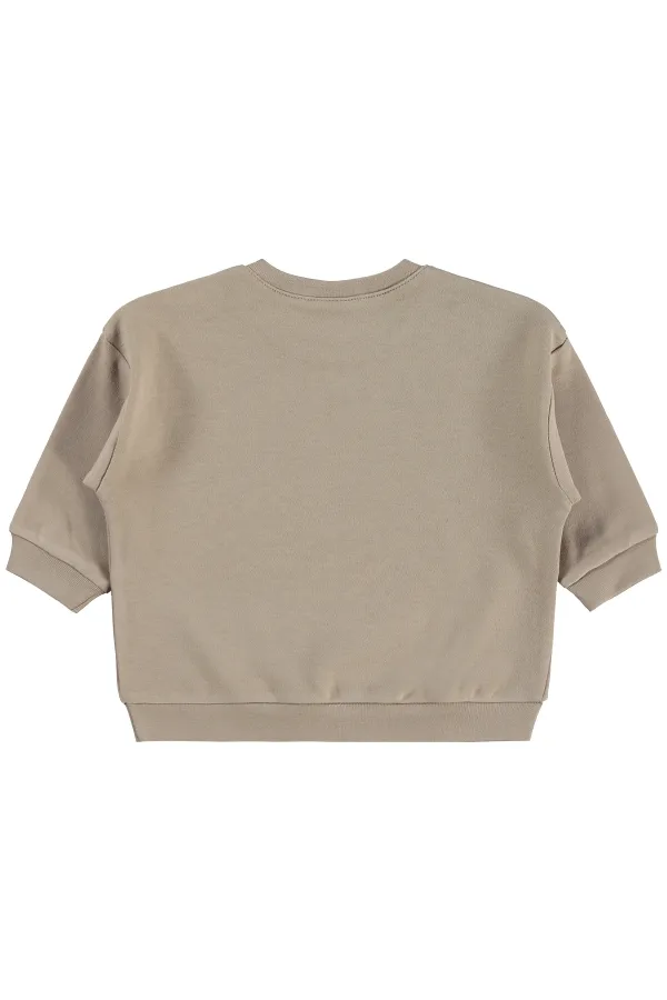 Bebek Sweatshirt 0-24 Ay Vizon - Paket