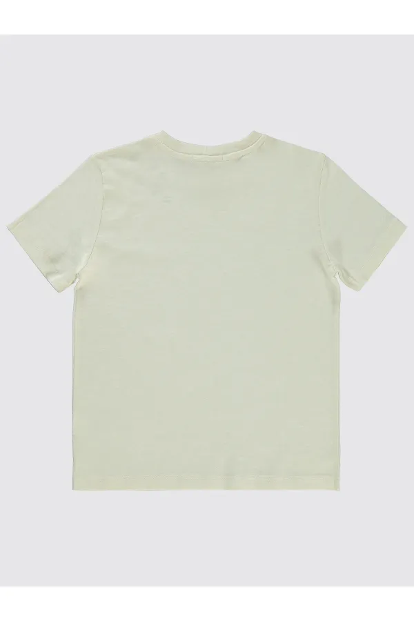 Erkek Çocuk Tişört 6-9 Yaş FilDişi - Paket