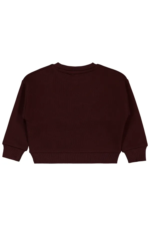 Sweat-shirt marron pour fille de 2 à 5 ans - Emballage