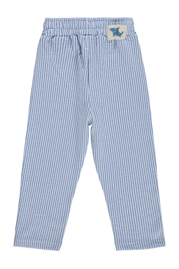 Pantalon garçon, 2-5 ans, bleu - Lot