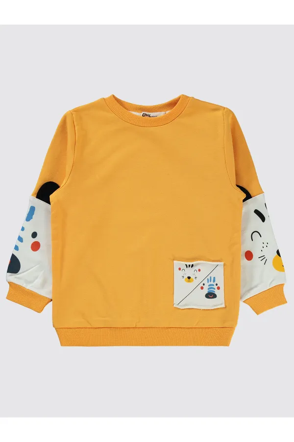 Boy Sweatshirt 2-5 Years Mustard - Pack