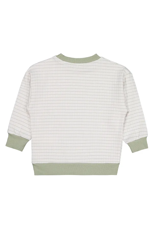 Erkek Çocuk Sweatshirt 2-5 Yaş Yeşil - Paket